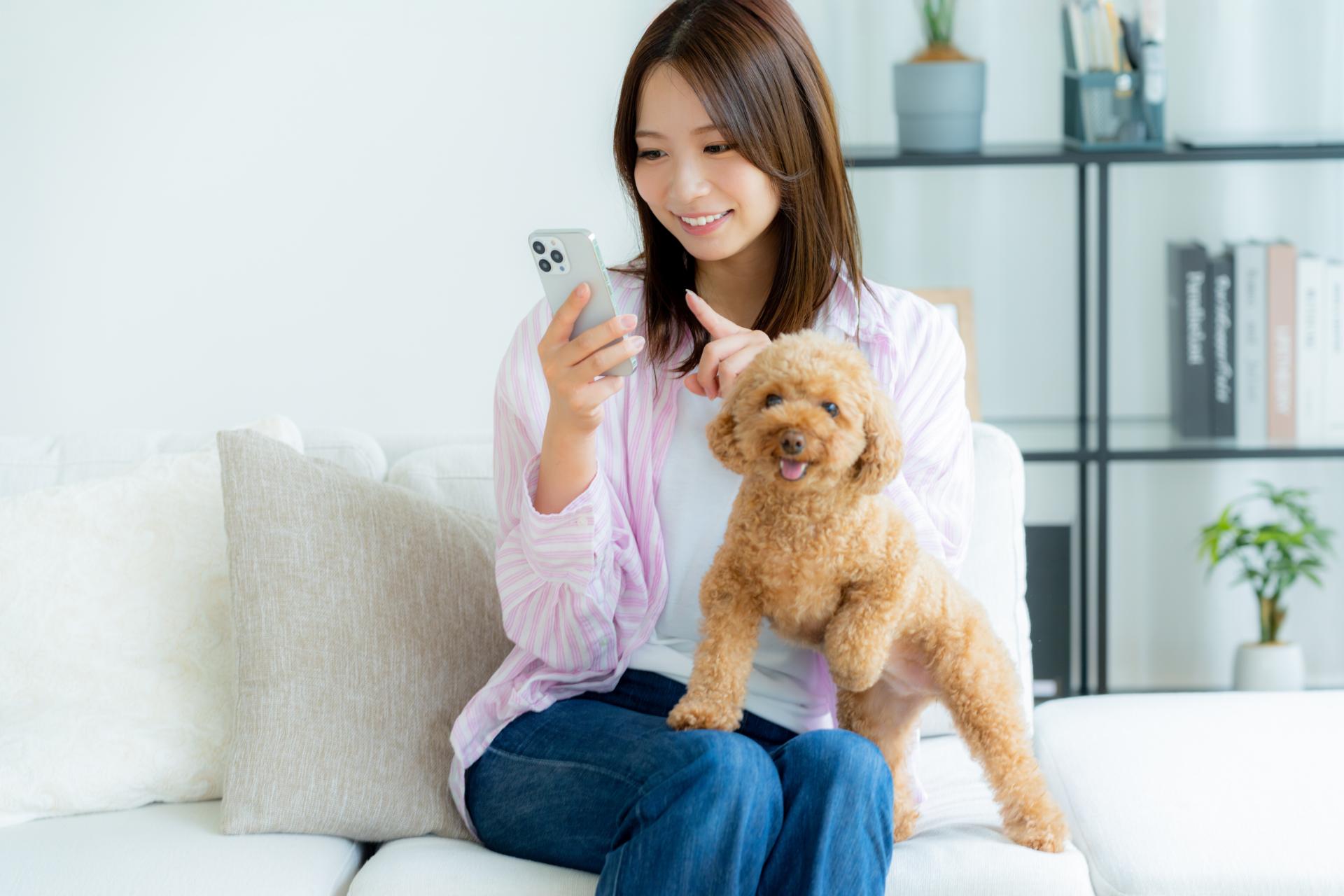 ネット予約で便利な受付 | 千葉の動物病院ならはつとみ本町動物病院