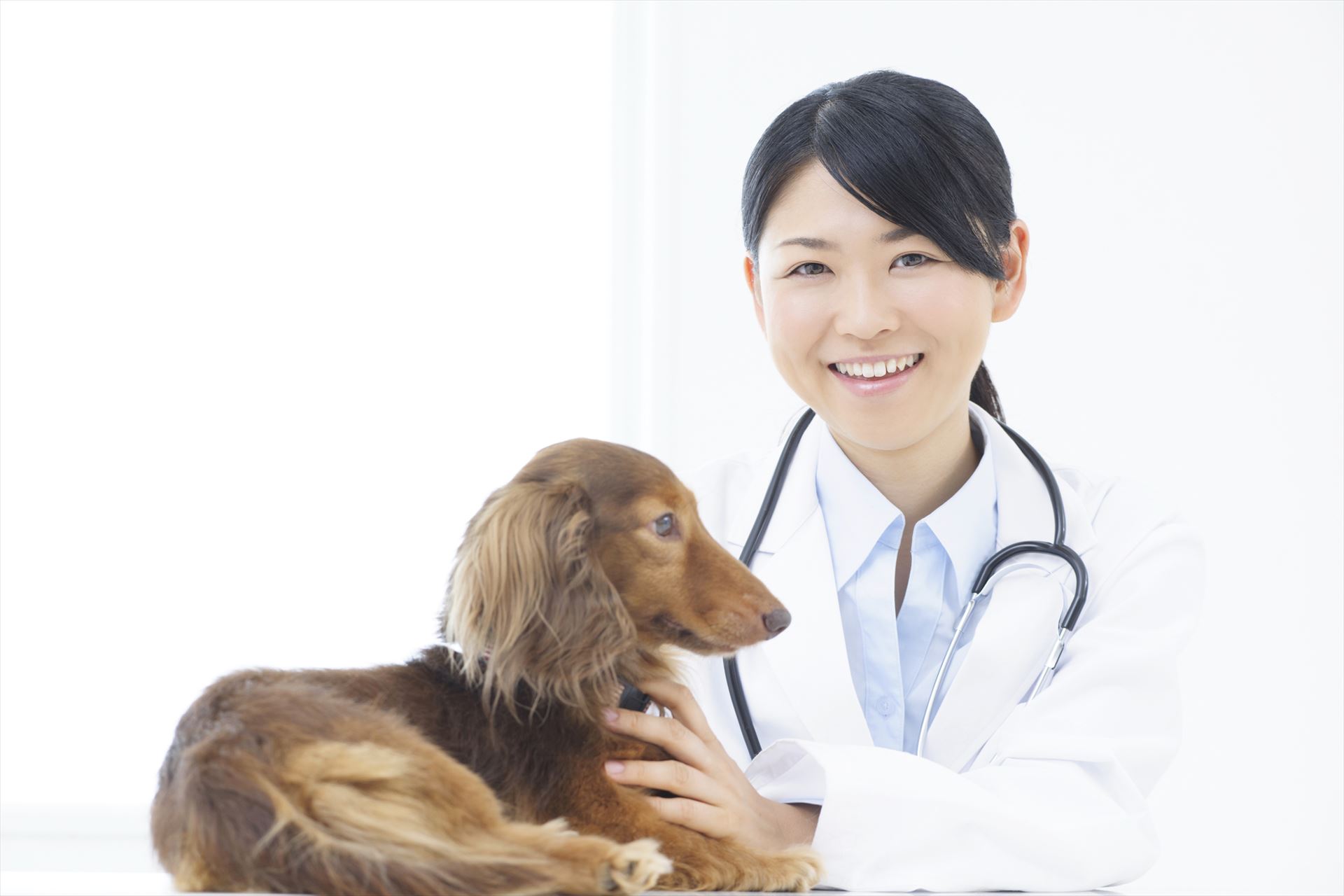 動物病院