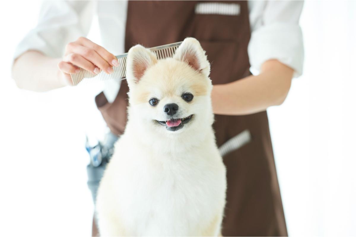 動物病院