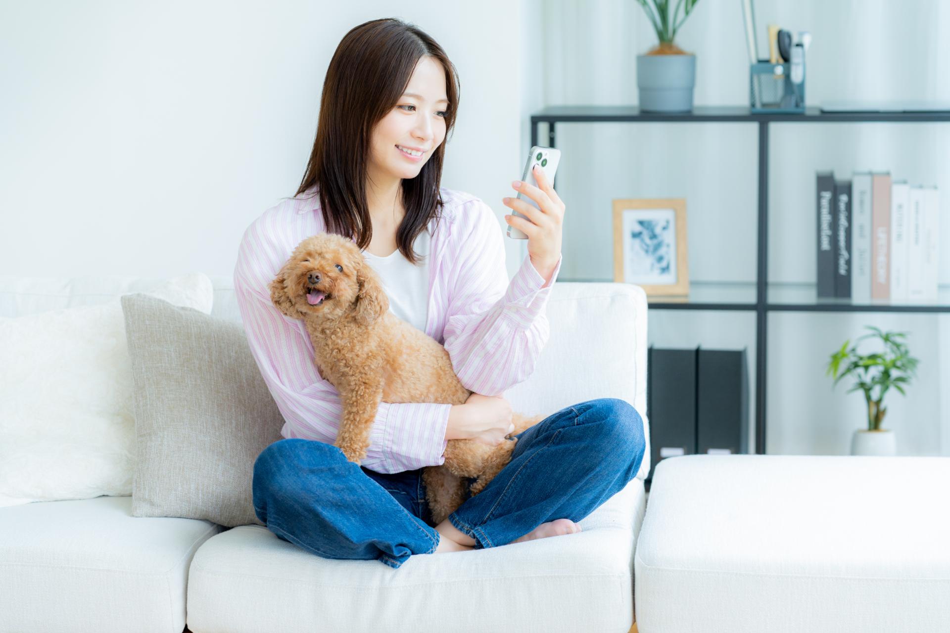 ネット予約システム導入 | 千葉の動物病院ならはつとみ本町動物病院