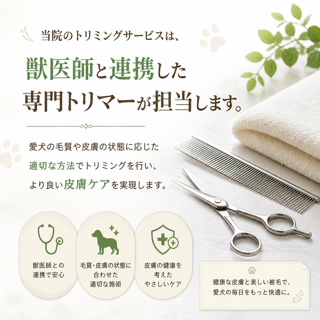 専門トリマーによるケアサービス