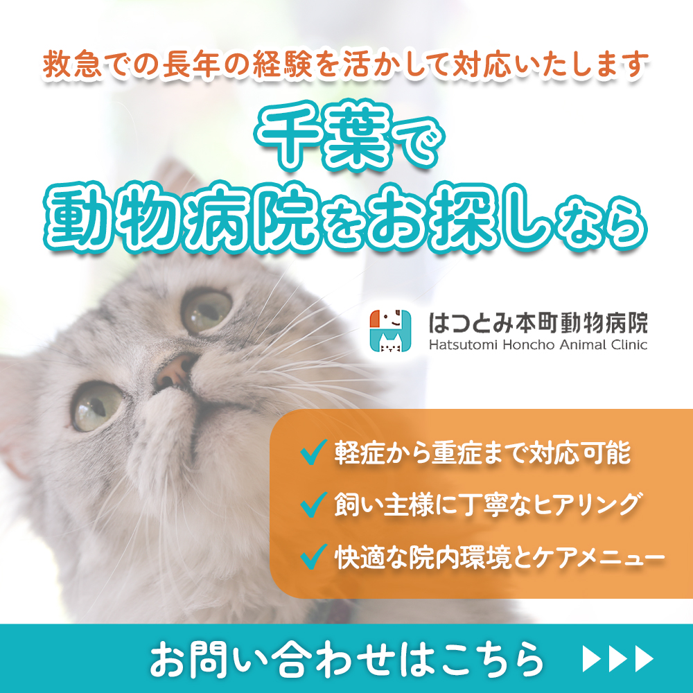 modal_banner